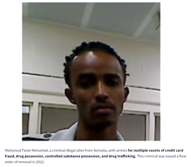 Illegal immigrant thug