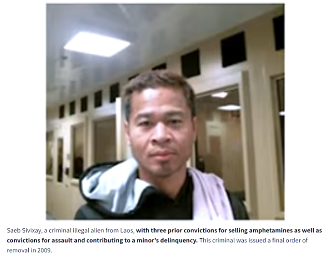 Illegal immigrant thug