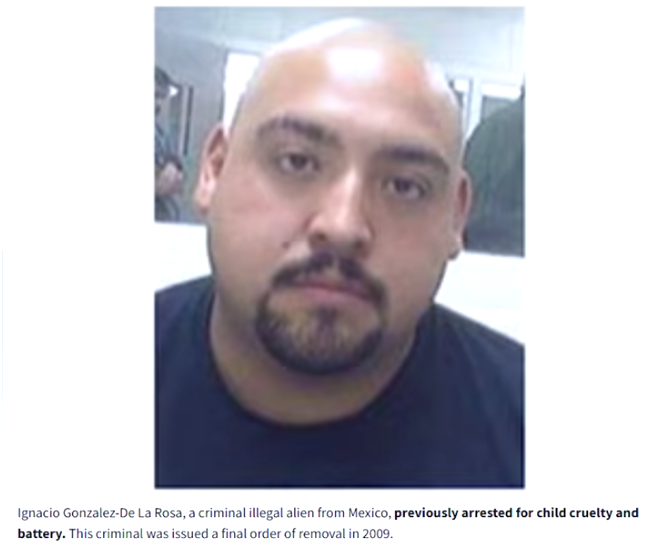 Illegal immigrant thug