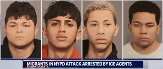 Immigrant Thugs